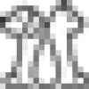 PapaPet