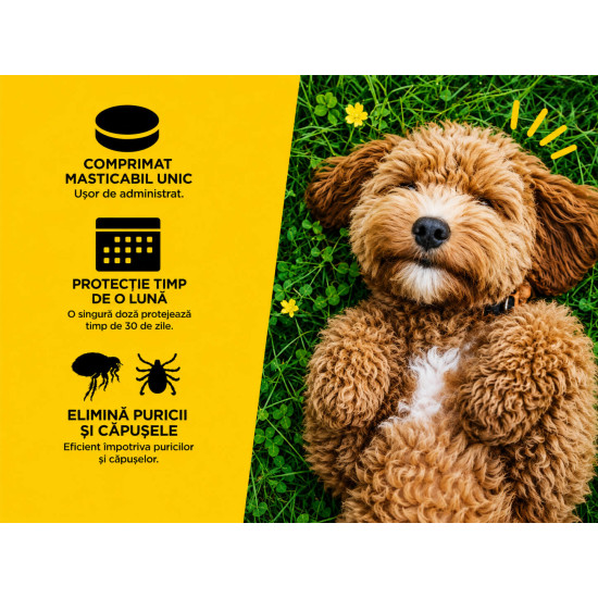 AdTab Dog 225 mg – Deparazitare externa pentru Câini 5,5–11 kg, 1 Tabletă, Elanco
