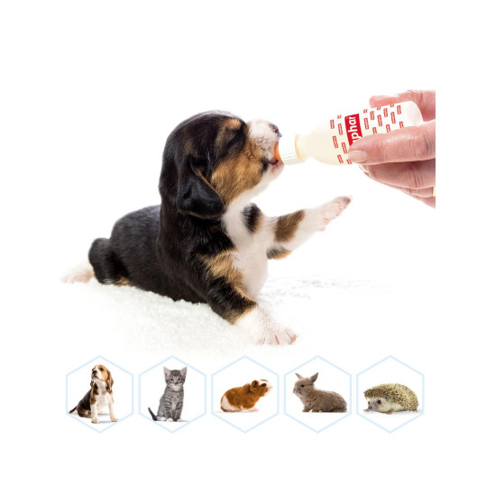 Beaphar Lactol Set hranire pentru pisoi, catei si animale mici