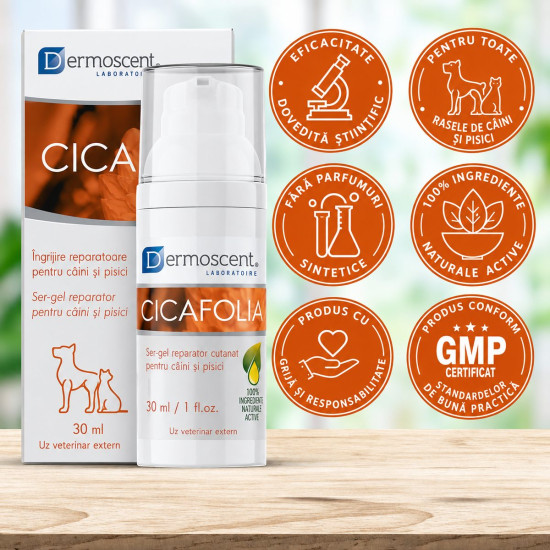 Dermoscent Cicafolia – Lichid Dermatologic Regenerant pentru Câini și Pisici, 30 ml