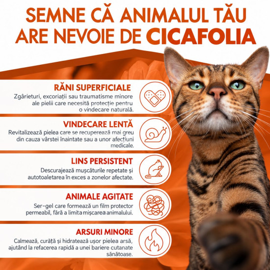 Dermoscent Cicafolia – Lichid Dermatologic Regenerant pentru Câini și Pisici, 30 ml