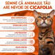 Dermoscent Cicafolia – Lichid Dermatologic Regenerant pentru Câini și Pisici, 30 ml