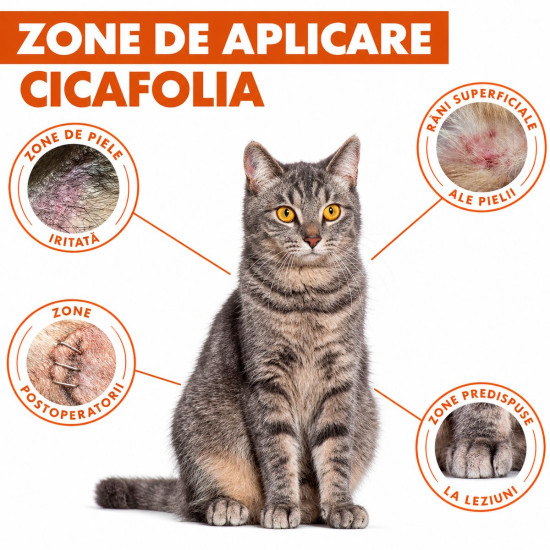 Dermoscent Cicafolia – Lichid Dermatologic Regenerant pentru Câini și Pisici, 30 ml
