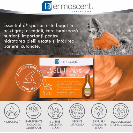 Dermoscent Essential 6 Spot-On – Îngrijire Dermatologică pentru Câini 0–10 kg – 4 Pipete