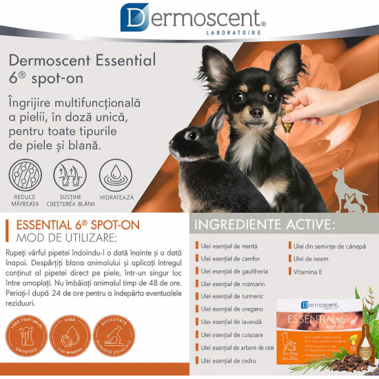 Dermoscent Essential 6 Spot-On – Îngrijire Dermatologică pentru Câini 0–10 kg – 4 Pipete