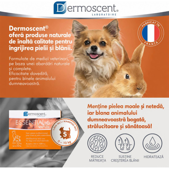 Dermoscent Essential 6 Spot-On – Îngrijire Dermatologică pentru Câini 0–10 kg – 4 Pipete