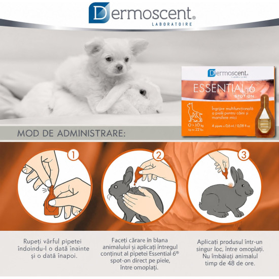 Dermoscent Essential 6 Spot-On – Îngrijire Dermatologică pentru Câini 0–10 kg – 4 Pipete