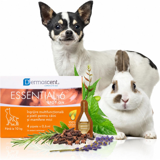 Dermoscent Essential 6 Spot-On – Îngrijire Dermatologică pentru Câini 0–10 kg – 4 Pipete