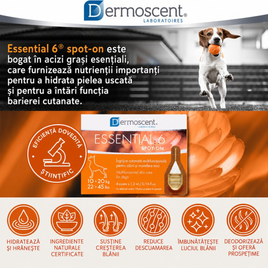 Dermoscent Essential 6 spot-on 10-20 kg, caini, 4 pipete