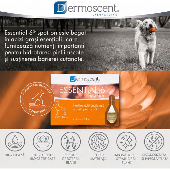 Dermoscent Essential 6 spot-on 20-40 kg, caini, 4 pipete