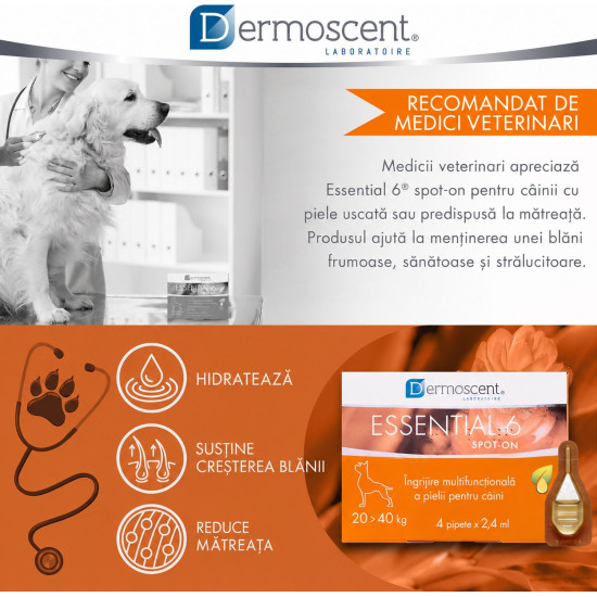 Dermoscent Essential 6 spot-on 20-40 kg, caini, 4 pipete