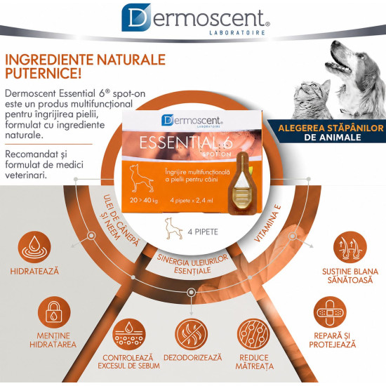 Dermoscent Essential 6 spot-on 20-40 kg, caini, 4 pipete