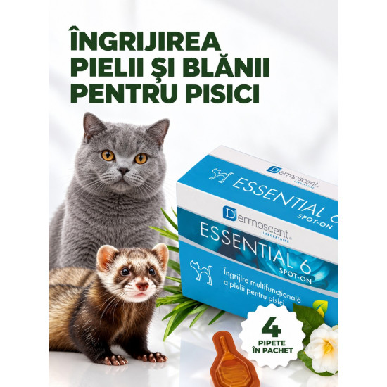 Dermoscent Essential 6 Spot-On – Îngrijire Dermatologică pentru Pisici – 4 Pipete