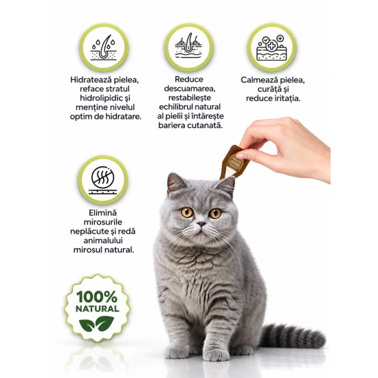 Dermoscent Essential 6 Spot-On – Îngrijire Dermatologică pentru Pisici – 4 Pipete