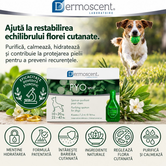 Dermoscent PYOspot 10-20 kg, spot-on dermatologic caini, 4 pipete