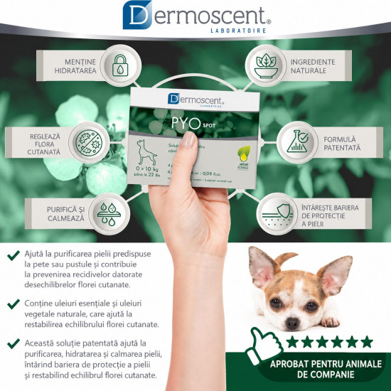 Dermoscent PYOspot – Îngrijirea Pielii pentru Câini 0–10 kg – 4 Pipete Spot-On