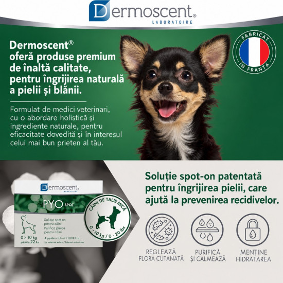 Dermoscent PYOspot – Îngrijirea Pielii pentru Câini 0–10 kg – 4 Pipete Spot-On