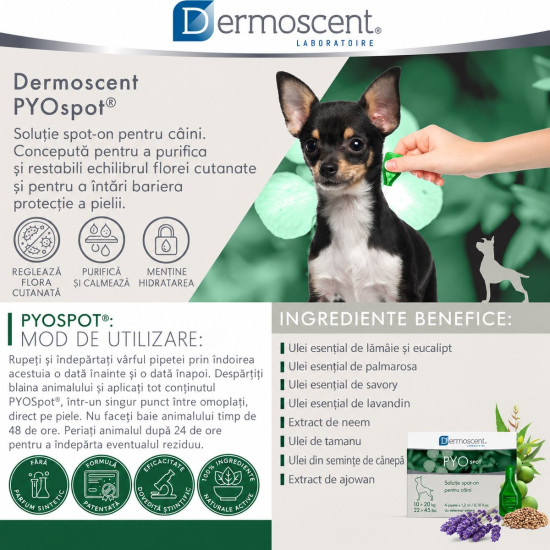 Dermoscent PYOspot – Îngrijirea Pielii pentru Câini 0–10 kg – 4 Pipete Spot-On