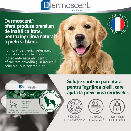 Dermoscent PYOspot 20-40 kg, spot-on dermatologic caini, 4 pipete