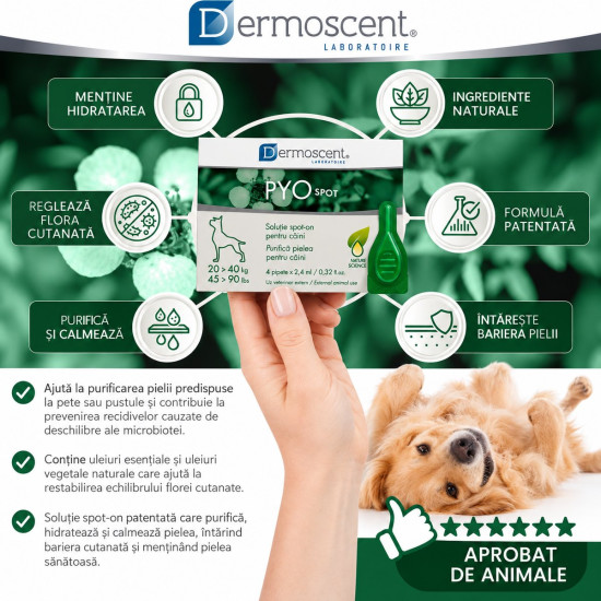 Dermoscent PYOspot 20-40 kg, spot-on dermatologic caini, 4 pipete