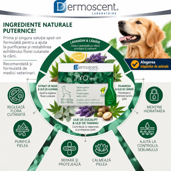 Dermoscent PYOspot 20-40 kg, spot-on dermatologic caini, 4 pipete
