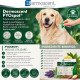 Dermoscent PYOspot 20-40 kg, spot-on dermatologic caini, 4 pipete