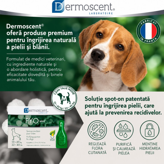 Dermoscent PYOspot 10-20 kg, spot-on dermatologic caini, 4 pipete