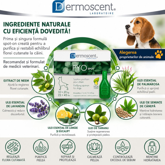 Dermoscent PYOspot 10-20 kg, spot-on dermatologic caini, 4 pipete