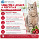 Dermoscent Uti-Zen, supliment urinar caini si pisici, 30 comprimate