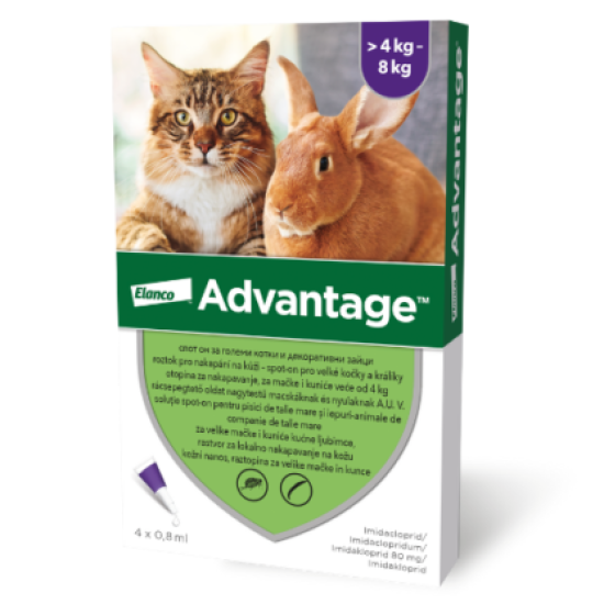 Advantage 80 – Deparazitare externa pentru Pisici și Iepuri peste 4 kg, 4 Pipete, Elanco