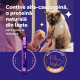 FELIWAY Happy Snack Somon, 15 g x 6 buc – recompense calmante pentru pisici