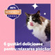 FELIWAY Happy Snack Somon, 15 g x 6 buc – recompense calmante pentru pisici