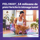 Feliway Classic Spray, 60 ml – feromoni pentru reducerea stresului la pisici