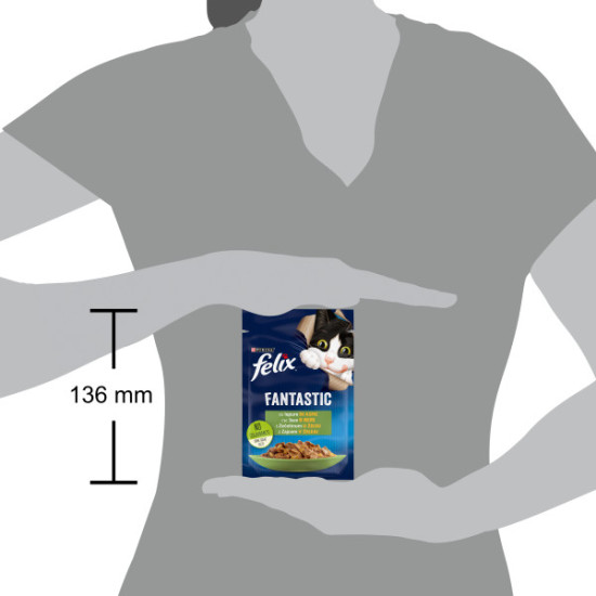Felix Fantastic – Junior cu Pui în Aspic, Hrană Umedă pentru Pisici, 85 g