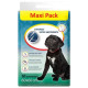 Covorase absorbante Maxi 4Dog pentru caini, 60x60 cm, 30 bucati