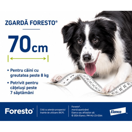Foresto – Zgarda Antiparazitară pentru Câini de Talie Medie-Mare, 70 cm