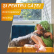 FRONTPRO S 11,3 mg – comprimat masticabil antiparazitar oral pentru câini 2–4 kg, 3 tablete