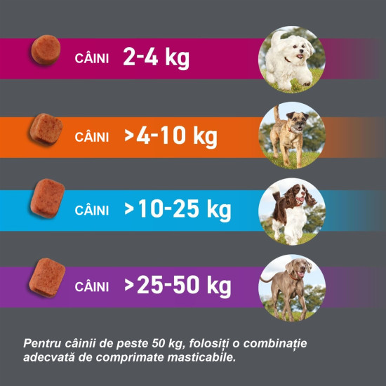FRONTPRO S 11,3 mg – comprimat masticabil antiparazitar oral pentru câini 2–4 kg, 3 tablete