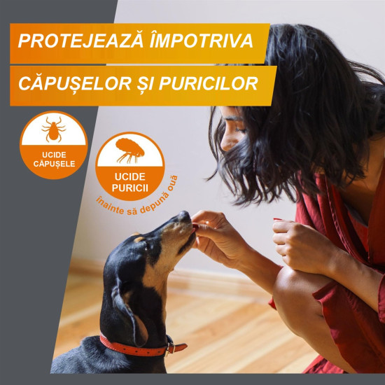 FRONTPRO S 11,3 mg – comprimat masticabil antiparazitar oral pentru câini 2–4 kg, 3 tablete