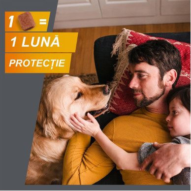 FRONTPRO S 11,3 mg – comprimat masticabil antiparazitar oral pentru câini 2–4 kg, 3 tablete