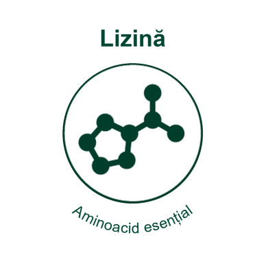 Lysine 250, 30 ml – supliment cu L-Lizină, Taurină și Echinacea pentru susținerea imunității la pisici