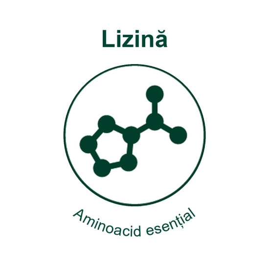 Lysine 250, 30 ml – supliment cu L-Lizină, Taurină și Echinacea pentru susținerea imunității la pisici