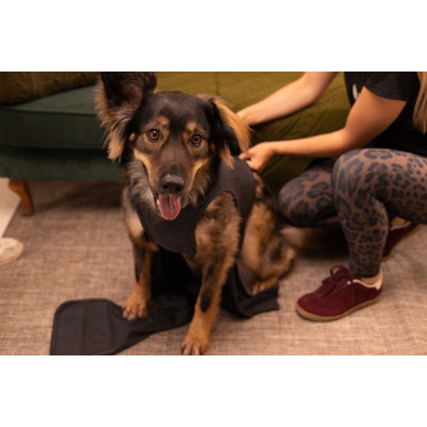 Vesta Calm Pet Nr. 3 – Vestă de calmare pentru câini anxioși (5–9 kg)