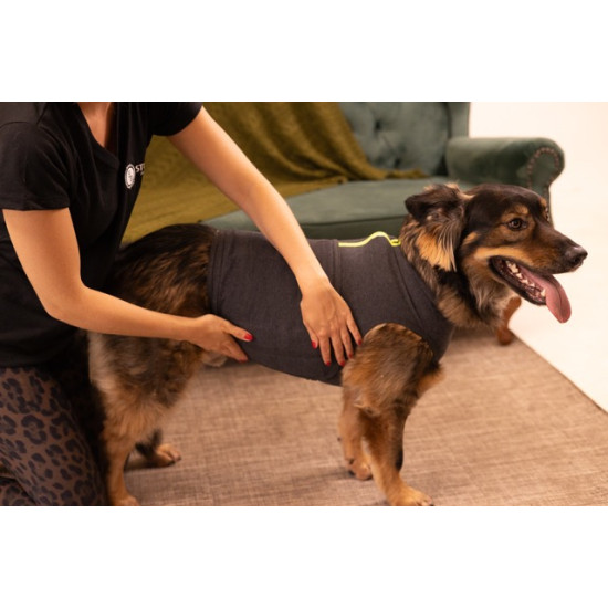 Vesta Calm Pet Nr. 3 – Vestă de calmare pentru câini anxioși (5–9 kg)