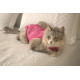 Haina Postoperatorie pentru Pisici DRY LIGHT SUPREME CAT Roz nr. 1 (2,3–3 kg), Pet Med