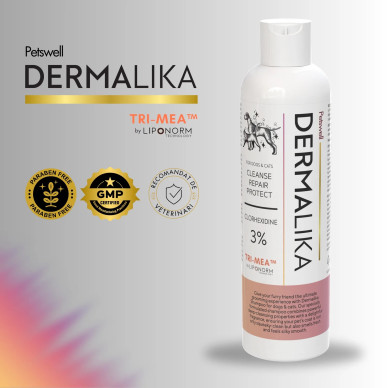 Șampon pentru Câini și Pisici  CHDG Dermalika – Curățare Antimicrobiană și Calmarea Iritațiilor, 250 ml, Petswell