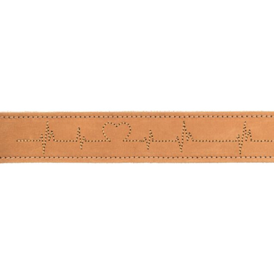 Zgardă din Piele Rustic Heartbeat pentru Câini Trixie, L–XL: 55–65 cm / 40 mm, Maro, 19017
