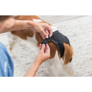 Chiloți Protectivi pentru Câini, M: 40–49 cm, Negru