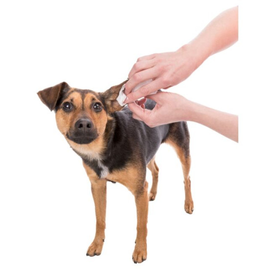 Șervețele Umede pentru Îngrijirea Urechilor Trixie, 30 bucăți, 29416