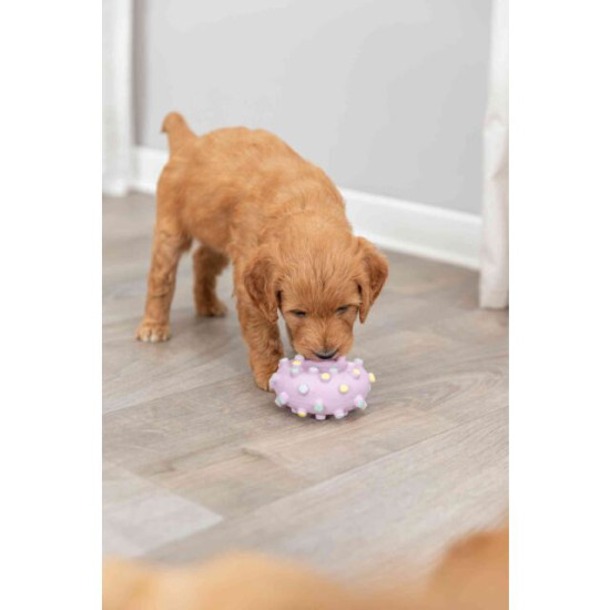 Jucărie pentru Câini, Junior, Mini Inel din Latex, 8 cm, Diferite Culori